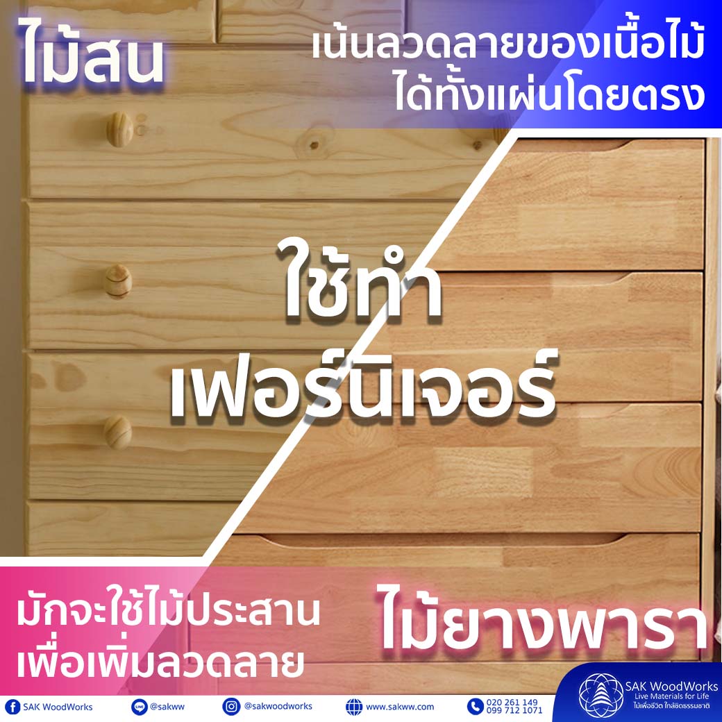 ไม้สน,ไม้ยางพารา,ไม้สนนอก